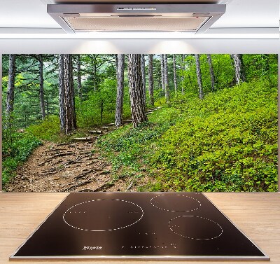 Achterwand keuken Bospad