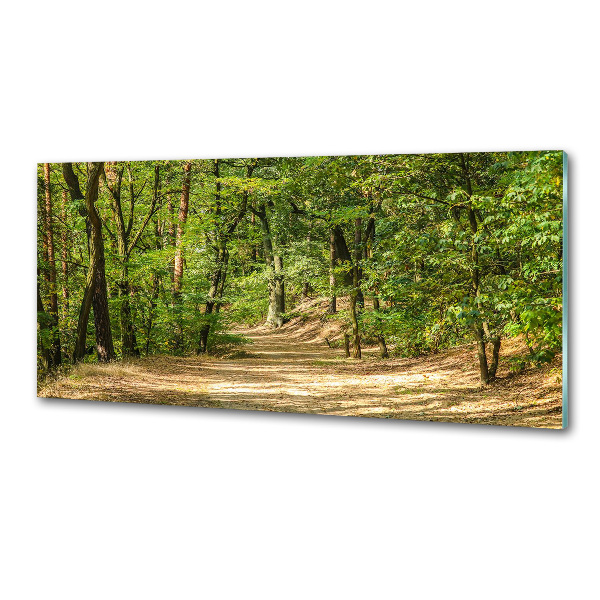 Keuken achterwand Bospad