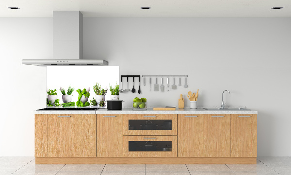 Glazen achterwand keuken Kruiden