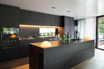 Glazen achterwand keuken Kruiden