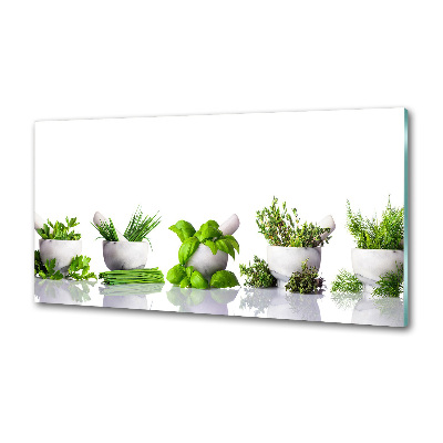 Glazen achterwand keuken Kruiden