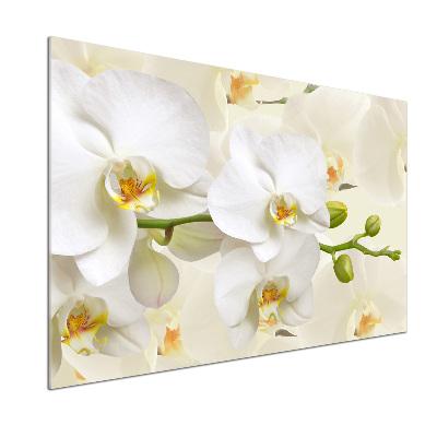 Achterwand keuken Orchidee