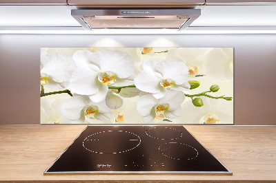 Achterwand keuken Orchidee