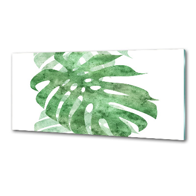 Spatscherm keuken Monstera