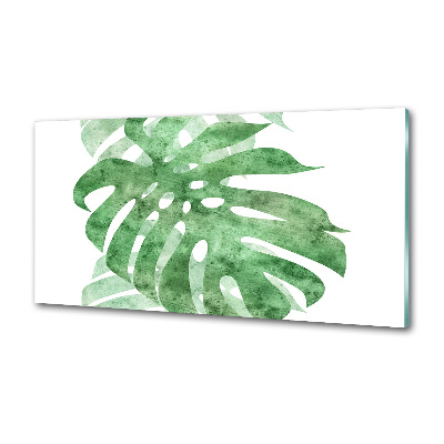 Spatscherm keuken Monstera