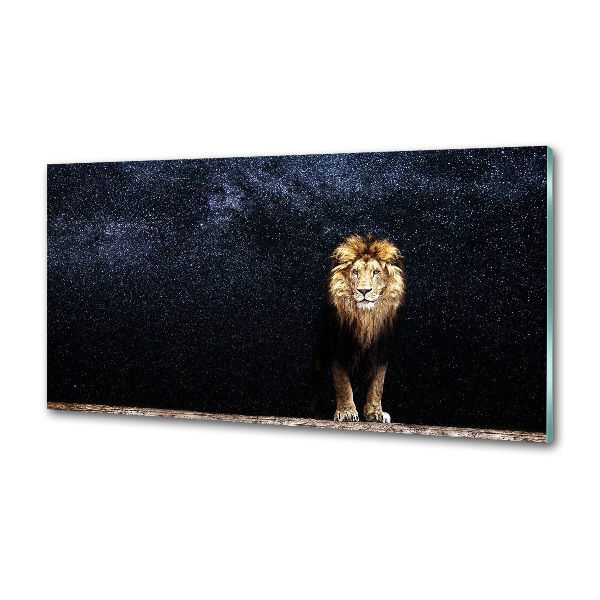 Keuken achterwand Leeuw tegen de sterren