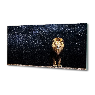 Keuken achterwand Leeuw tegen de sterren