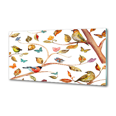 Achterwand keuken Vogels en vlinders