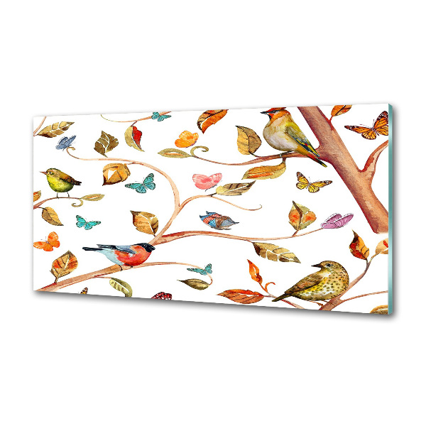 Achterwand keuken Vogels en vlinders