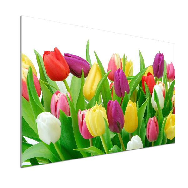 Spatplaat keuken Kleurrijke tulpen