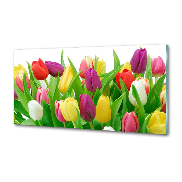 Spatplaat keuken Kleurrijke tulpen