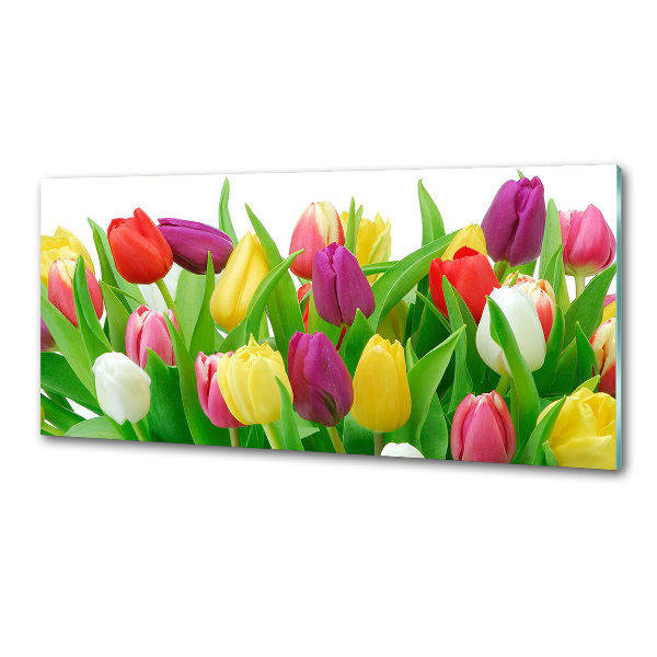 Spatplaat keuken Kleurrijke tulpen