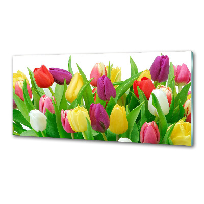 Spatplaat keuken Kleurrijke tulpen