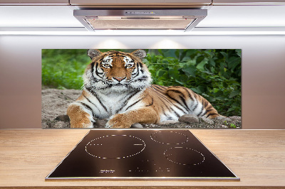 Spatplaat keuken Siberische tijger