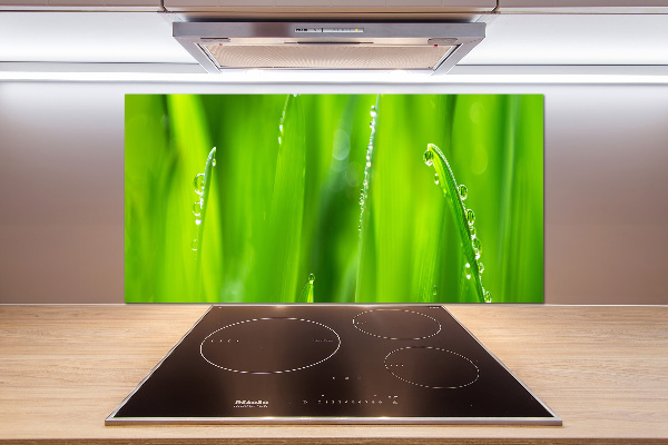 Keuken achterwand Jonge haver