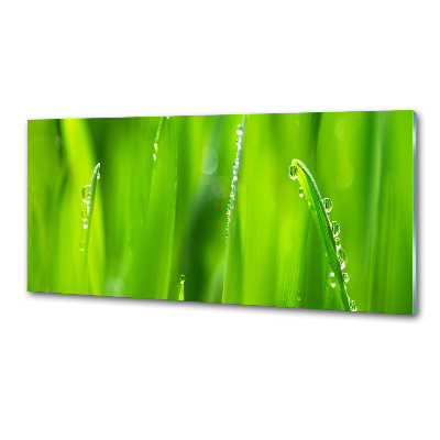 Keuken achterwand Jonge haver