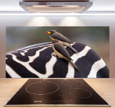 Glazen achterwand keuken Vogels en zebra's