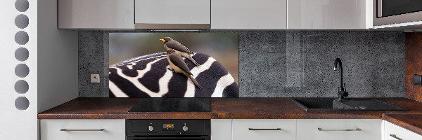 Glazen achterwand keuken Vogels en zebra's