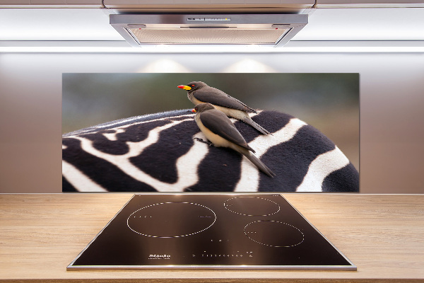 Glazen achterwand keuken Vogels en zebra's
