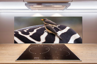 Glazen achterwand keuken Vogels en zebra's