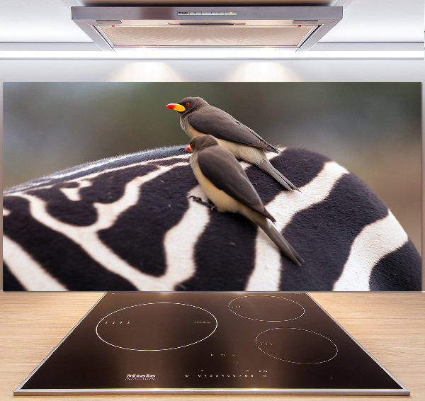 Glazen achterwand keuken Vogels en zebra's
