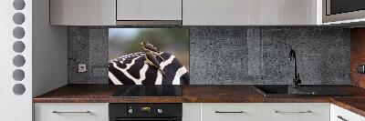 Glazen achterwand keuken Vogels en zebra's