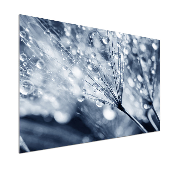 Spatscherm keuken Paardenbloemzaden