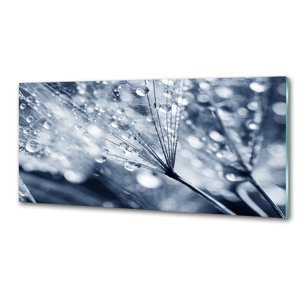 Spatscherm keuken Paardenbloemzaden