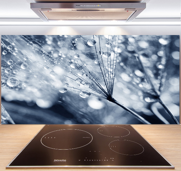 Spatscherm keuken Paardenbloemzaden