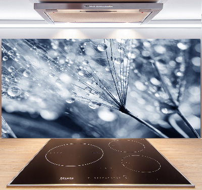 Spatscherm keuken Paardenbloemzaden