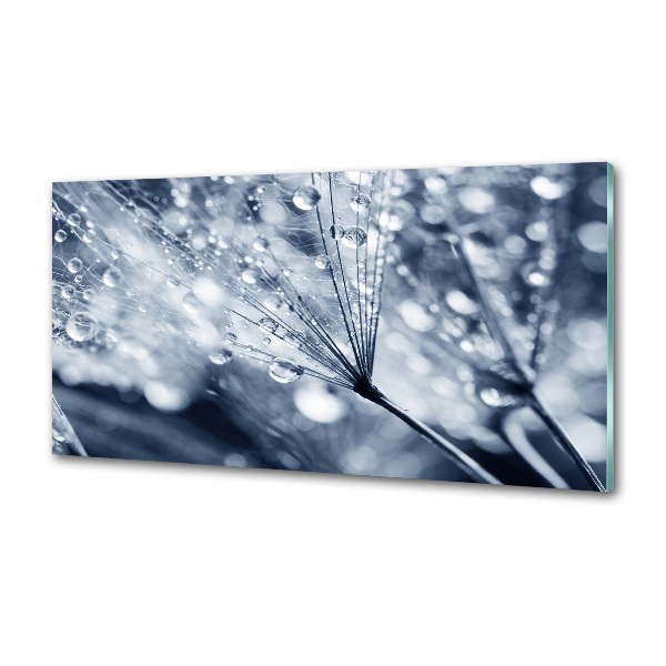 Spatscherm keuken Paardenbloemzaden