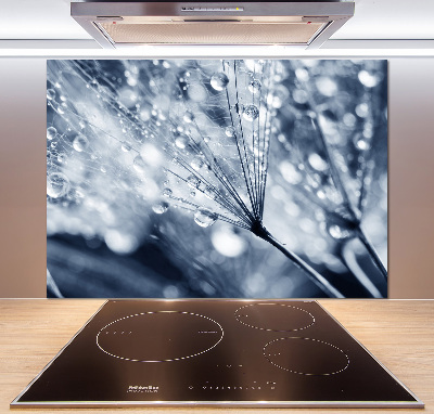 Spatscherm keuken Paardenbloemzaden