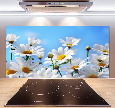 Spatplaat keuken Madeliefjes