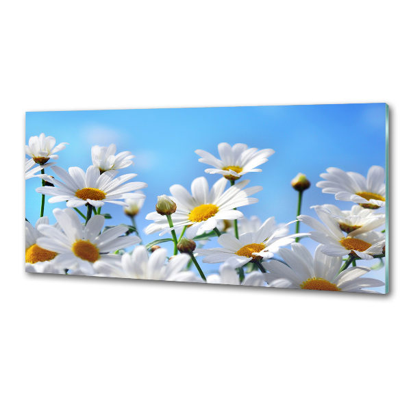 Spatplaat keuken Madeliefjes