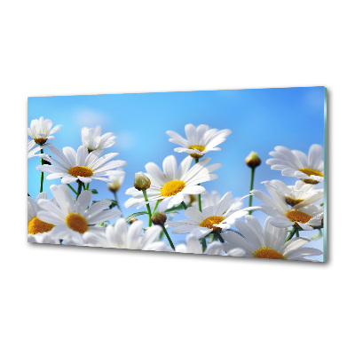 Spatplaat keuken Madeliefjes