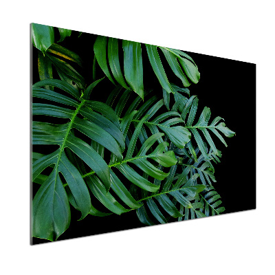 Keuken achterwand Monstera