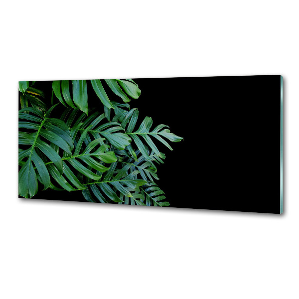 Keuken achterwand Monstera