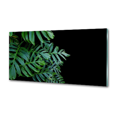 Keuken achterwand Monstera