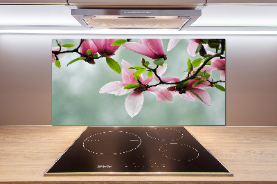 Glazen achterwand keuken Magnolia