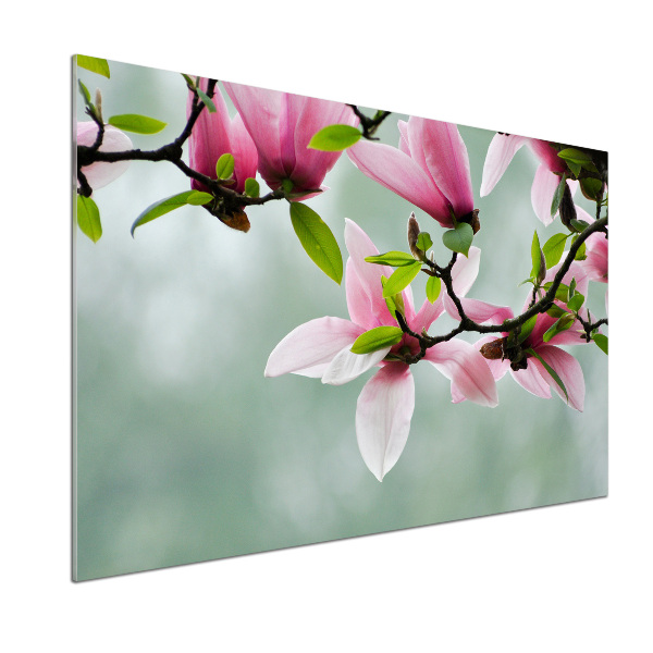 Glazen achterwand keuken Magnolia