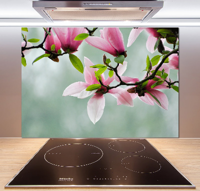 Glazen achterwand keuken Magnolia