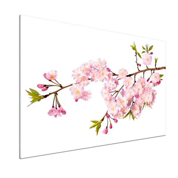 Spatplaat keuken Doorn