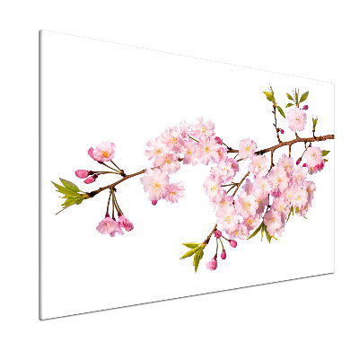 Spatplaat keuken Doorn