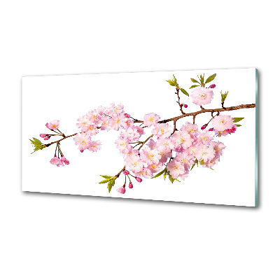 Spatplaat keuken Doorn