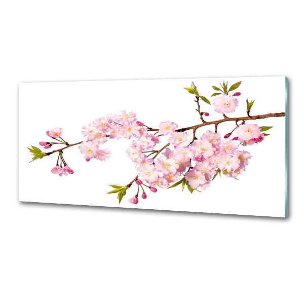 Spatplaat keuken Doorn