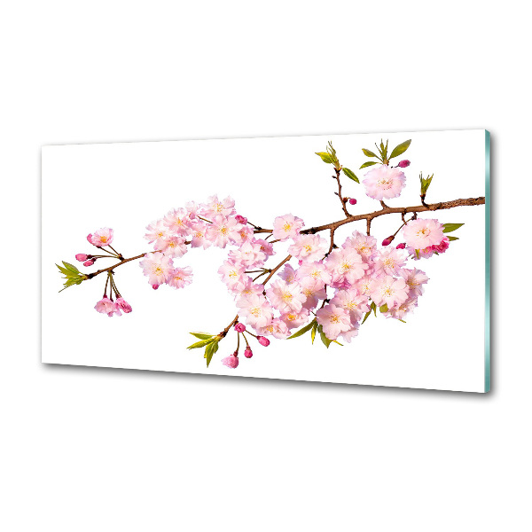 Spatplaat keuken Doorn