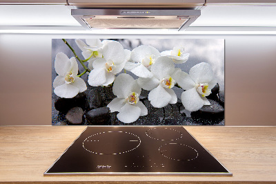Spatscherm keuken Orchidee