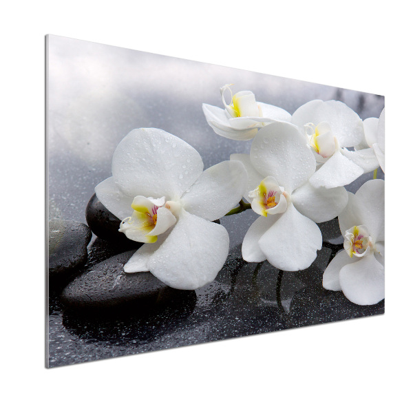 Keuken achterwand Orchidee