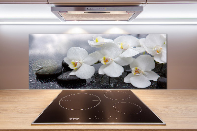 Keuken achterwand Orchidee