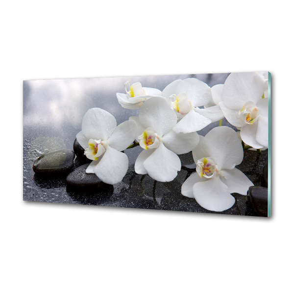 Keuken achterwand Orchidee